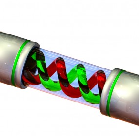 Hydrogen Fuel Cell